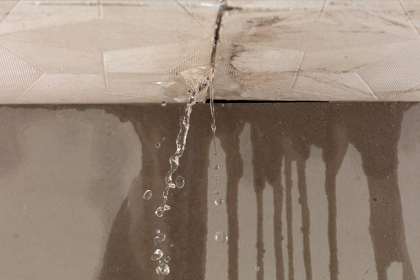 Professional Structural Drying technician working in Medford, WI
